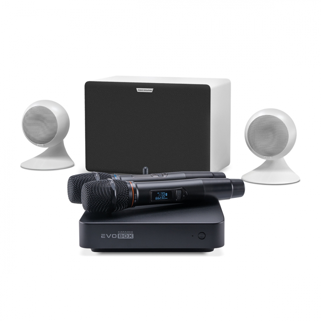 караоке-комплект EVOBOX Classic + EvoSound Sphere 2.1 в Симе