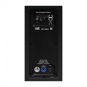 Активная акустическая система AST-308A в Симе