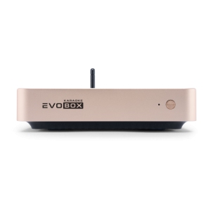 EVOBOX Classic караоке-система для дома в Симе