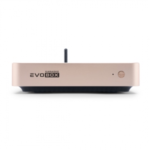 EVOBOX Plus караоке-система для дома в Симе