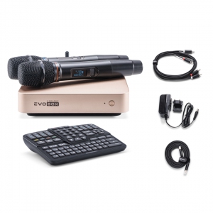 EVOBOX Plus караоке-система для дома в Симе