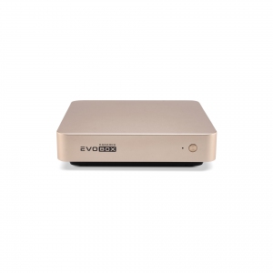 EVOBOX с микрофонами в Симе